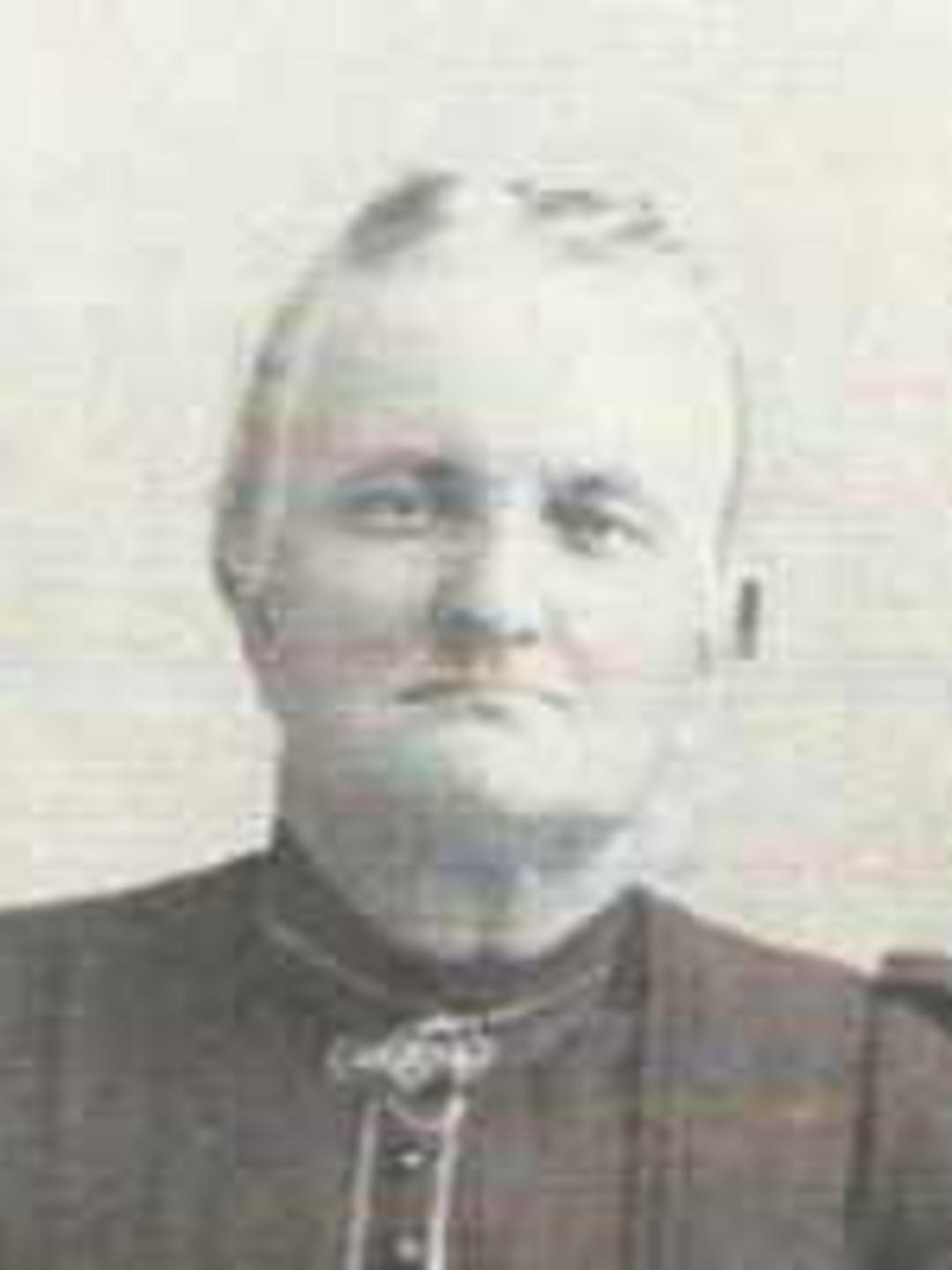 Sarah Ann Lloyd (1842 - 1921) Profile